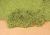 BLATTERFLOR H.GRUN28X14CM