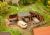 1/160 OPSLAGPLAATSEN VOOR HOUT