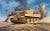 TIGER 1 (6/19) *