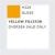 AQUEOUS HOB. COL. 10 ML YELLOW FS 13538