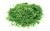 Skale Scenics Flockage - Medium Green 