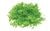 Skale Scenics Flock - Bright Green 