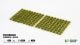 Green 4mm - Small